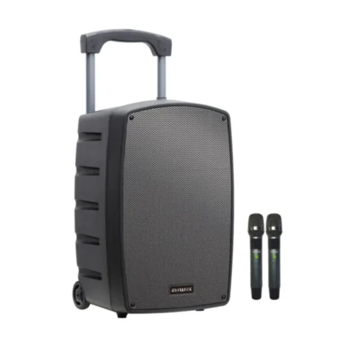 מערכת הגברה ניידת עם 2 מיקרופונים AIWA דגם TSUNAMI12