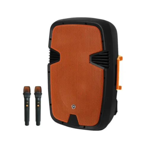 בידורית עם 2 מיקרופונים Pure Acoustics דגם PMW4412